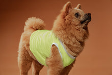 Load image into Gallery viewer, Ollie Pet Clothes
