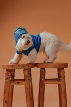Load image into Gallery viewer, Rue Pet Clothes

